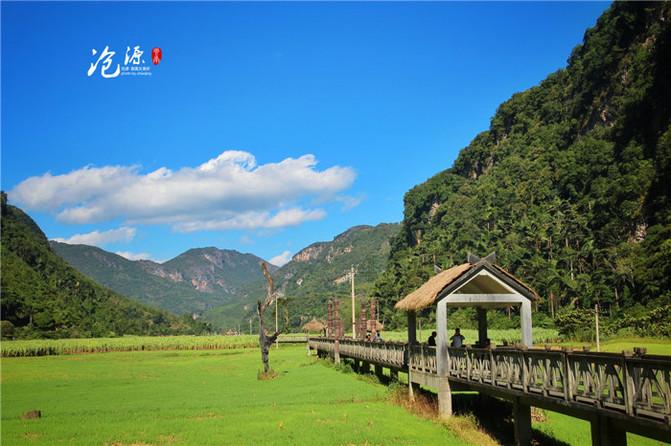 春雨直播app